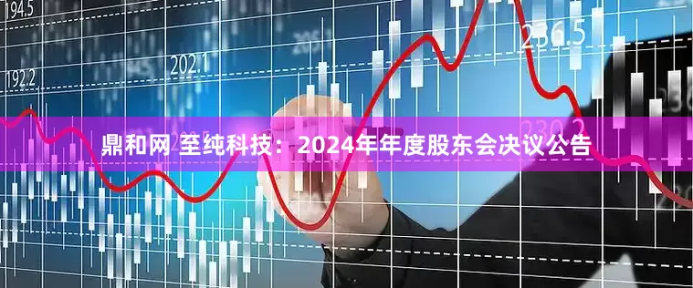鼎和网 至纯科技：2024年年度股东会决议公告